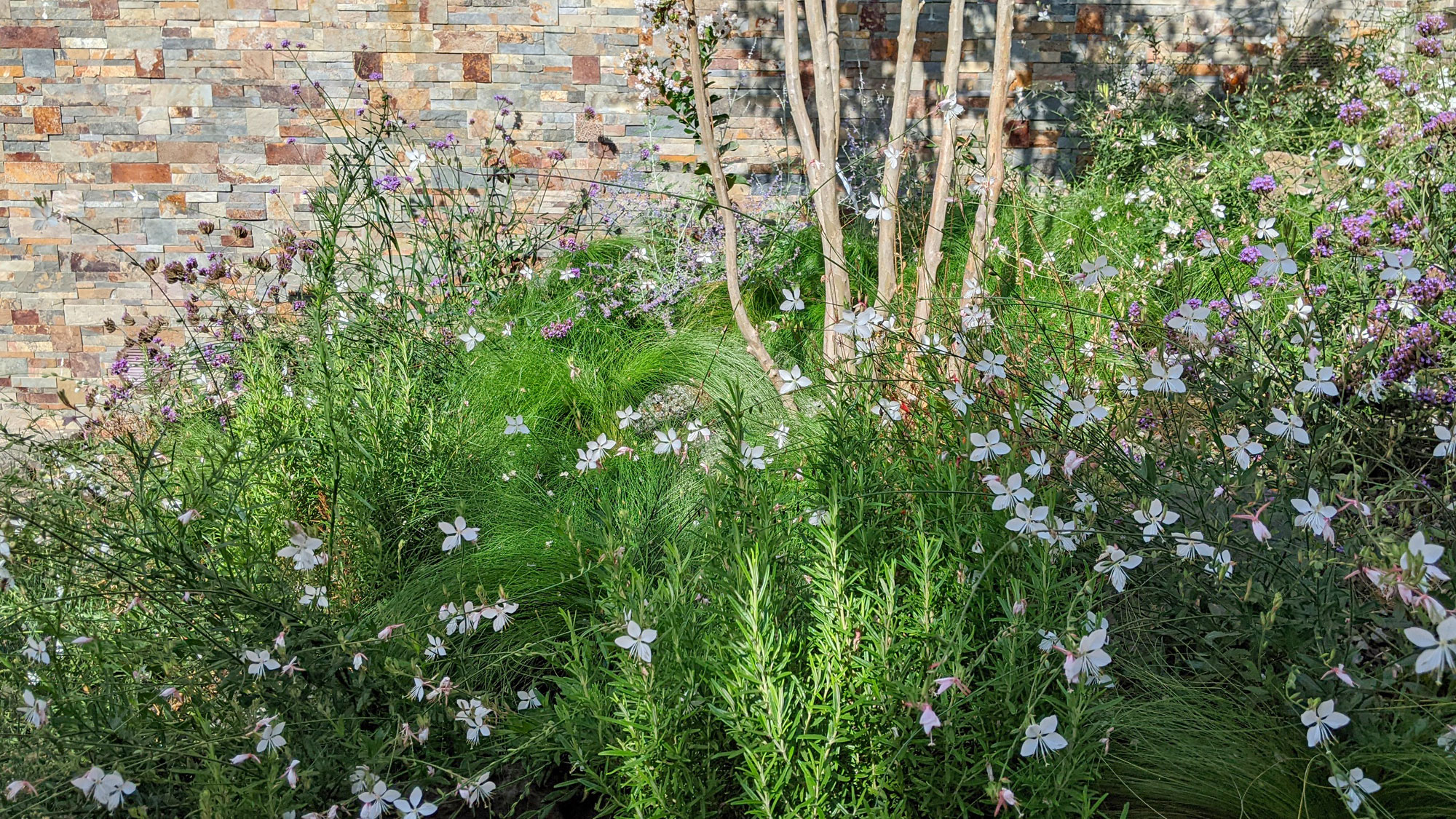 federico bordin architetto paesaggista garden designer progettazione giardini verde lazio umbria roma viterbo