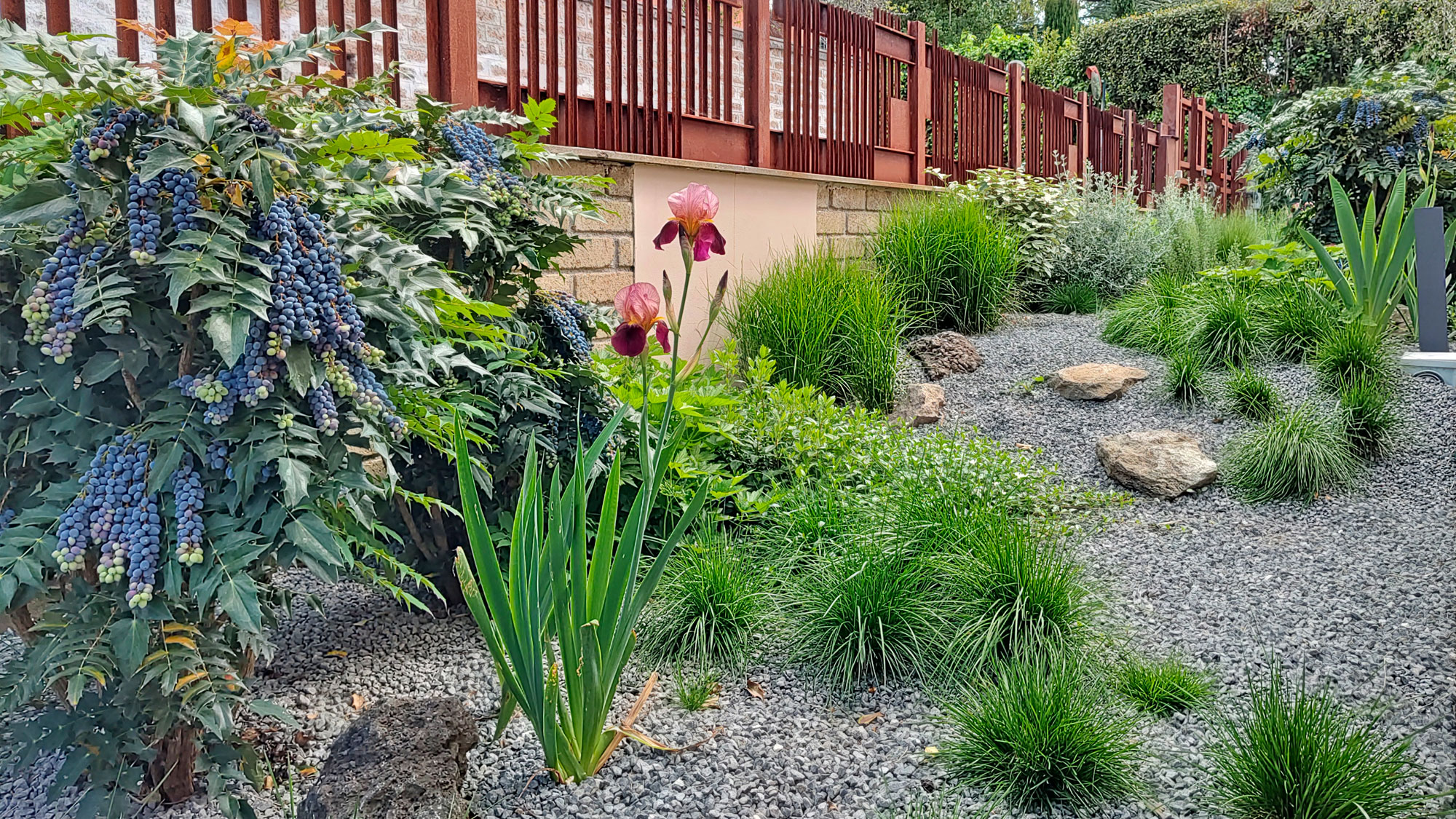 federico bordin architetto paesaggista garden designer progettazione giardini verde lazio umbria roma viterbo
